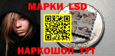 альфа пвп Новодвинск