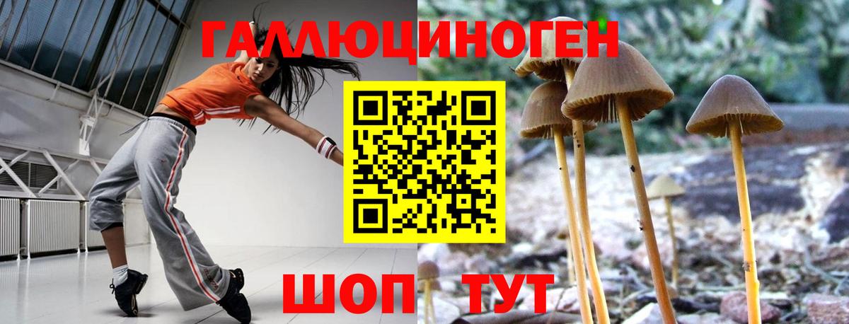 Галлюциногенные грибы MAGIC MUSHROOMS Серов